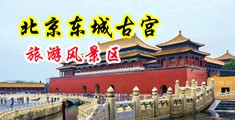 肏偷情女人的高潮视频中国北京-东城古宫旅游风景区